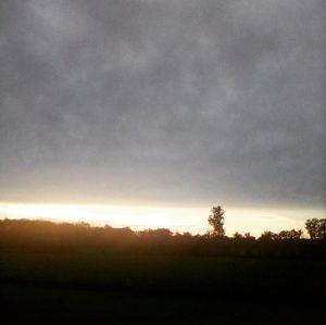 Meet your Posher, Cory